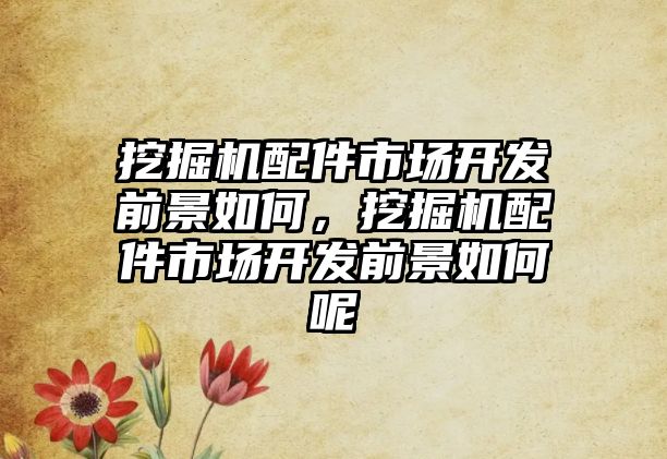 挖掘機配件市場開發(fā)前景如何，挖掘機配件市場開發(fā)前景如何呢