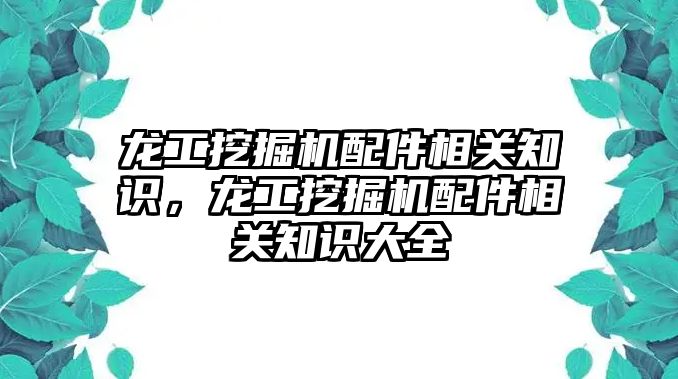 龍工挖掘機配件相關(guān)知識，龍工挖掘機配件相關(guān)知識大全