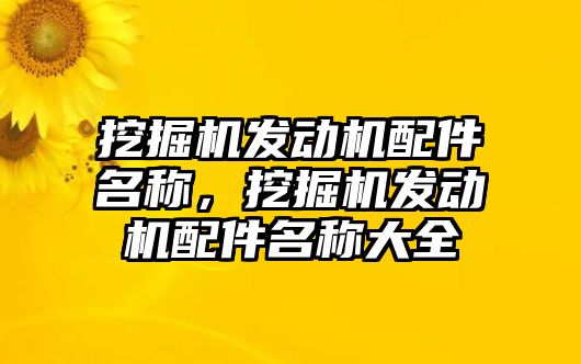 挖掘機發(fā)動機配件名稱，挖掘機發(fā)動機配件名稱大全