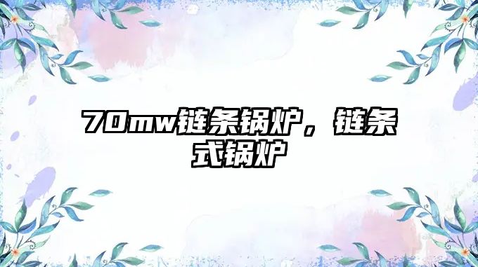 70mw鏈條鍋爐，鏈條式鍋爐