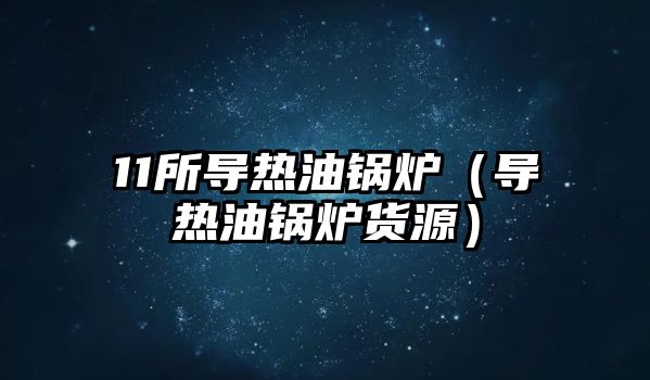 11所導(dǎo)熱油鍋爐（導(dǎo)熱油鍋爐貨源）