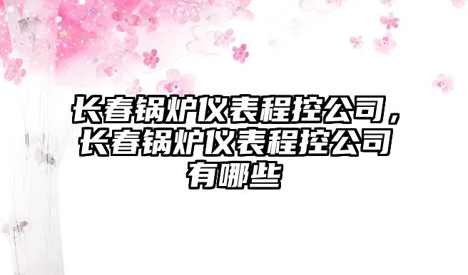 長(zhǎng)春鍋爐儀表程控公司，長(zhǎng)春鍋爐儀表程控公司有哪些