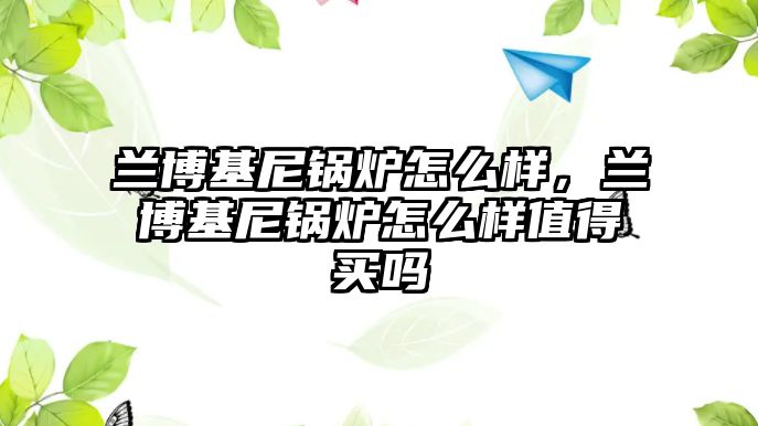 蘭博基尼鍋爐怎么樣，蘭博基尼鍋爐怎么樣值得買嗎