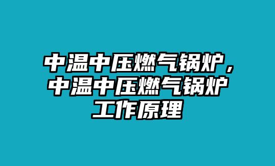 中溫中壓燃氣鍋爐，中溫中壓燃氣鍋爐工作原理