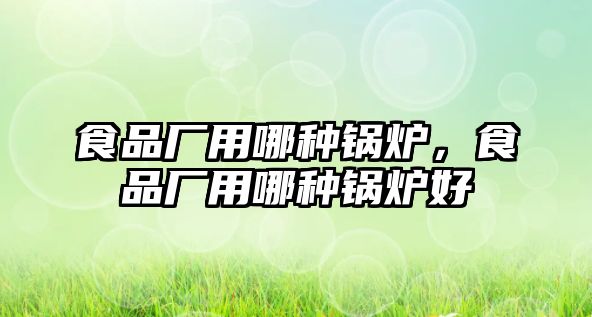 食品廠用哪種鍋爐，食品廠用哪種鍋爐好