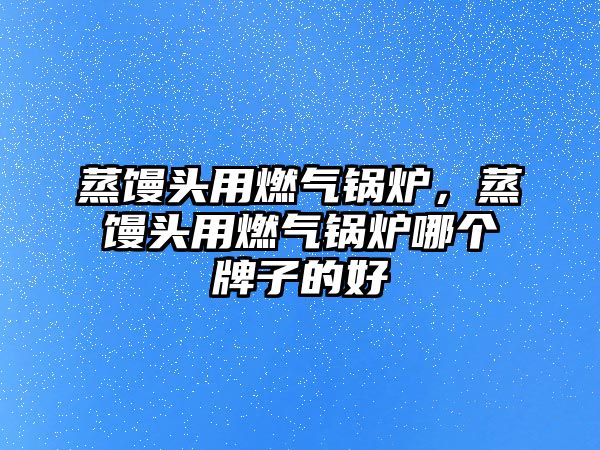 蒸饅頭用燃?xì)忮仩t，蒸饅頭用燃?xì)忮仩t哪個(gè)牌子的好