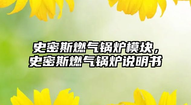 史密斯燃?xì)忮仩t模塊，史密斯燃?xì)忮仩t說(shuō)明書