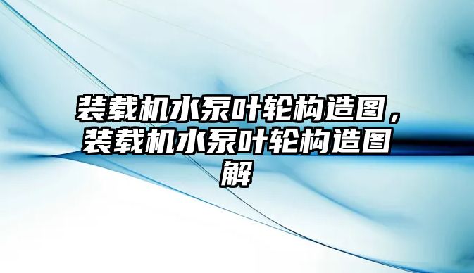 裝載機(jī)水泵葉輪構(gòu)造圖，裝載機(jī)水泵葉輪構(gòu)造圖解