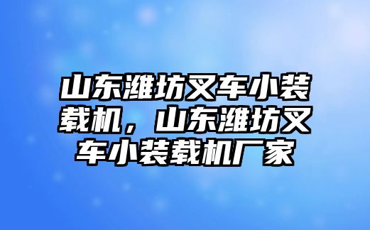 山東濰坊叉車小裝載機(jī)，山東濰坊叉車小裝載機(jī)廠家