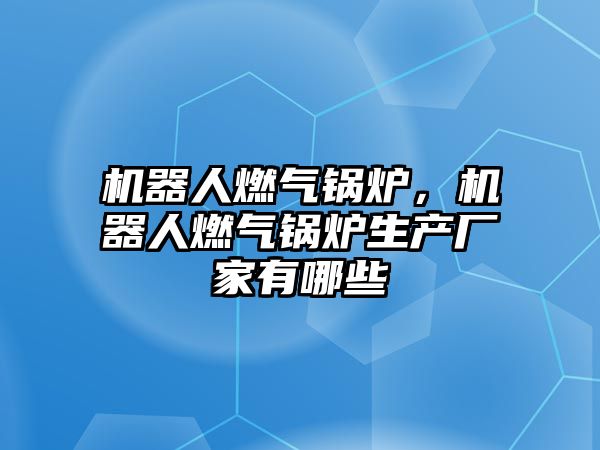 機器人燃氣鍋爐，機器人燃氣鍋爐生產(chǎn)廠家有哪些