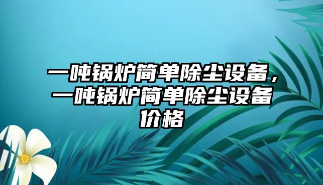 一噸鍋爐簡單除塵設(shè)備，一噸鍋爐簡單除塵設(shè)備價(jià)格