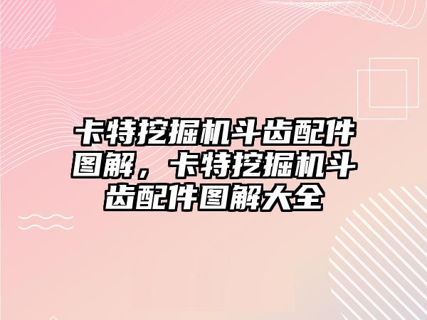 卡特挖掘機(jī)斗齒配件圖解，卡特挖掘機(jī)斗齒配件圖解大全