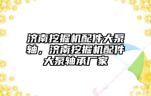 濟南挖掘機配件大泵軸，濟南挖掘機配件大泵軸承廠家