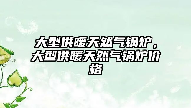 大型供暖天然氣鍋爐，大型供暖天然氣鍋爐價格