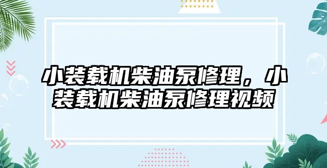 小裝載機(jī)柴油泵修理，小裝載機(jī)柴油泵修理視頻