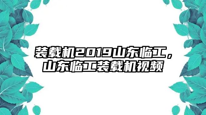 裝載機2019山東臨工，山東臨工裝載機視頻