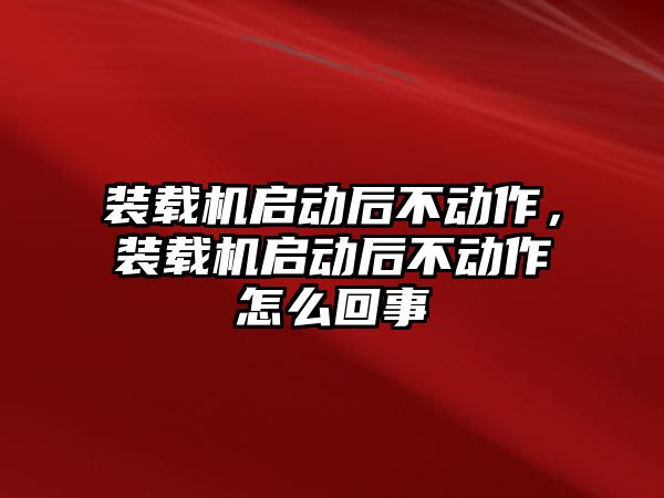 裝載機啟動后不動作，裝載機啟動后不動作怎么回事