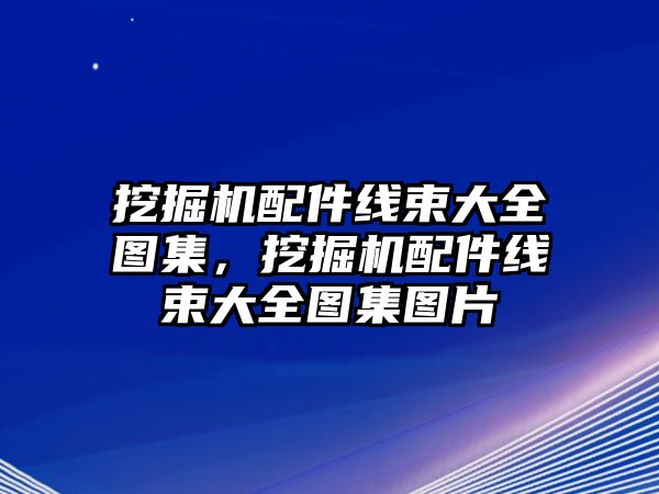 挖掘機(jī)配件線(xiàn)束大全圖集，挖掘機(jī)配件線(xiàn)束大全圖集圖片