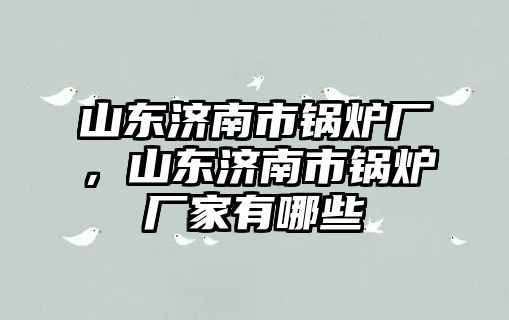 山東濟南市鍋爐廠，山東濟南市鍋爐廠家有哪些