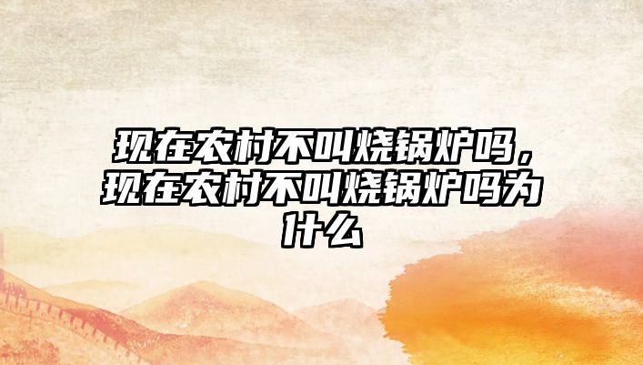 現(xiàn)在農(nóng)村不叫燒鍋爐嗎，現(xiàn)在農(nóng)村不叫燒鍋爐嗎為什么