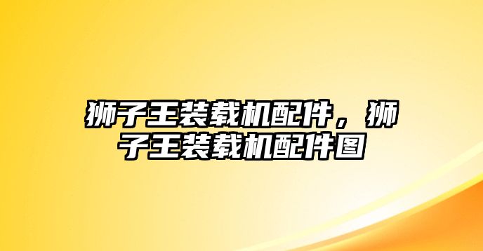 獅子王裝載機(jī)配件，獅子王裝載機(jī)配件圖