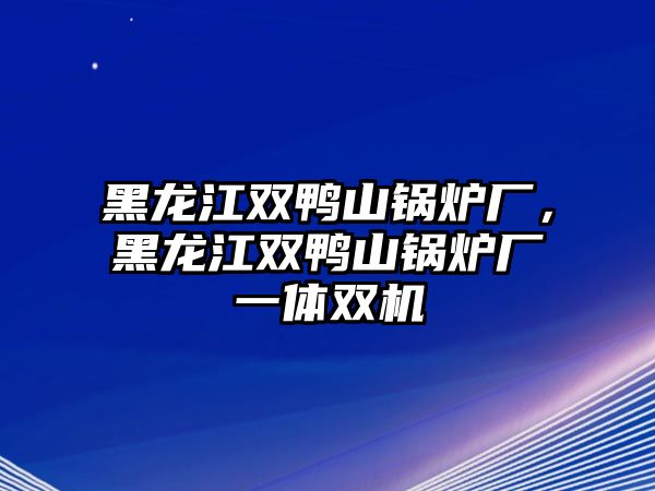 黑龍江雙鴨山鍋爐廠，黑龍江雙鴨山鍋爐廠一體雙機(jī)