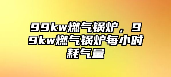 99kw燃?xì)忮仩t，99kw燃?xì)忮仩t每小時(shí)耗氣量