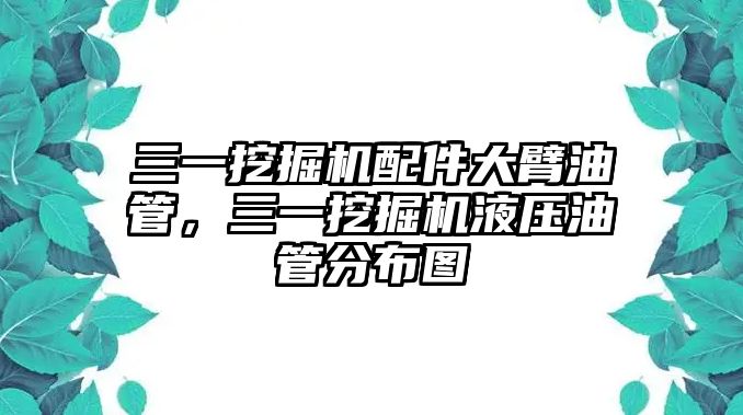 三一挖掘機配件大臂油管，三一挖掘機液壓油管分布圖