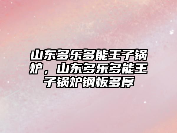 山東多樂多能王子鍋爐，山東多樂多能王子鍋爐鋼板多厚