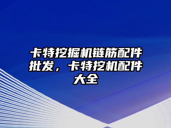 卡特挖掘機鏈筋配件批發(fā)，卡特挖機配件大全