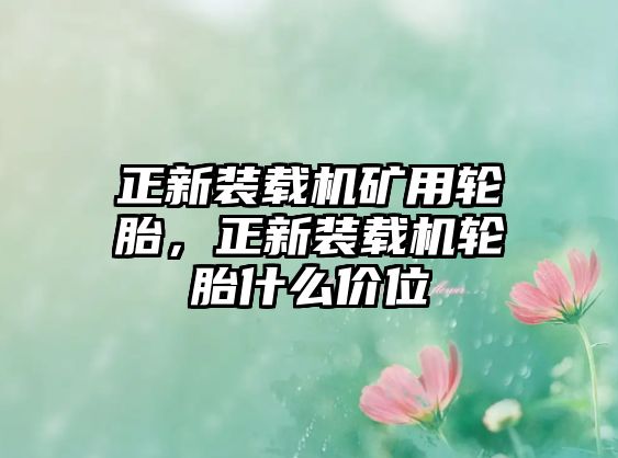 正新裝載機礦用輪胎，正新裝載機輪胎什么價位