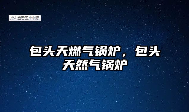 包頭天燃?xì)忮仩t，包頭天然氣鍋爐