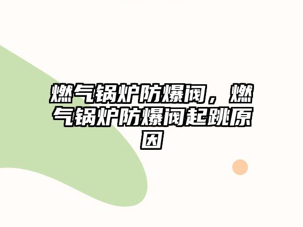 燃?xì)忮仩t防爆閥，燃?xì)忮仩t防爆閥起跳原因