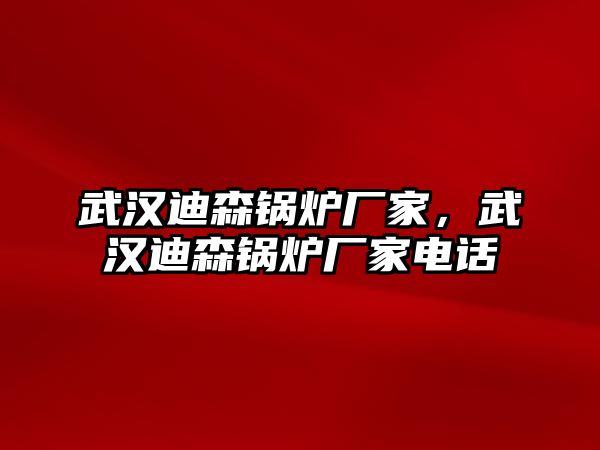 武漢迪森鍋爐廠家，武漢迪森鍋爐廠家電話