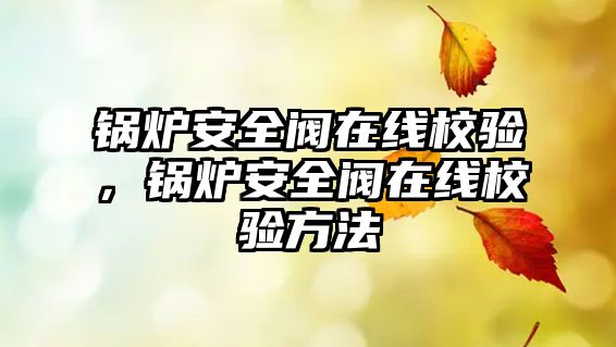 鍋爐安全閥在線校驗(yàn)，鍋爐安全閥在線校驗(yàn)方法