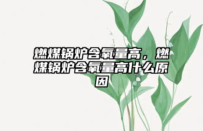 燃煤鍋爐含氧量高，燃煤鍋爐含氧量高什么原因