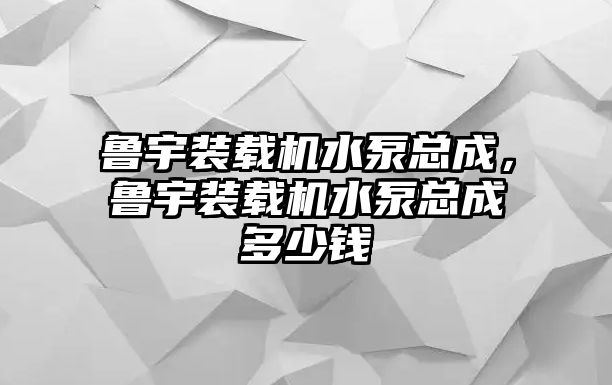 魯宇裝載機水泵總成，魯宇裝載機水泵總成多少錢