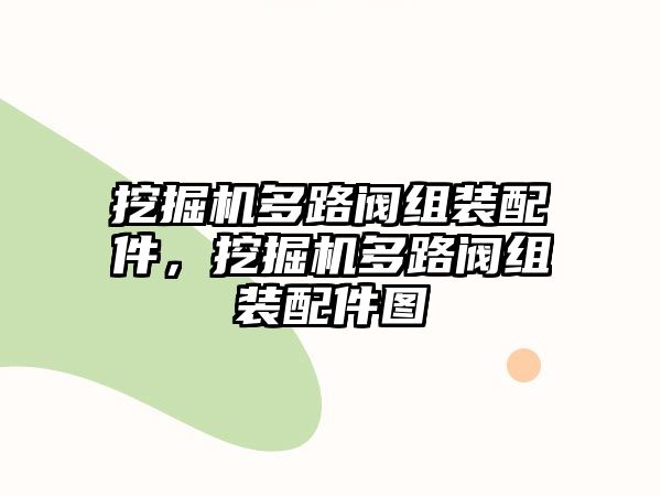 挖掘機多路閥組裝配件，挖掘機多路閥組裝配件圖