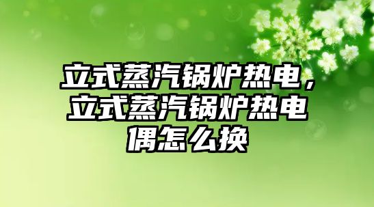 立式蒸汽鍋爐熱電，立式蒸汽鍋爐熱電偶怎么換