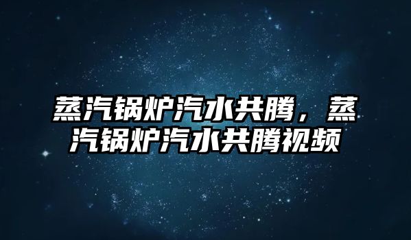 蒸汽鍋爐汽水共騰，蒸汽鍋爐汽水共騰視頻