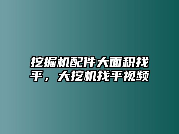 挖掘機(jī)配件大面積找平，大挖機(jī)找平視頻