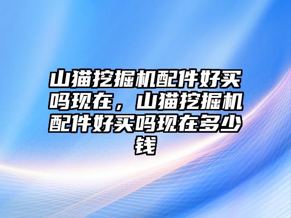 山貓挖掘機(jī)配件好買嗎現(xiàn)在，山貓挖掘機(jī)配件好買嗎現(xiàn)在多少錢