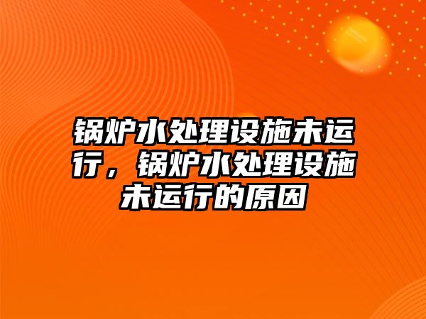 鍋爐水處理設施未運行，鍋爐水處理設施未運行的原因