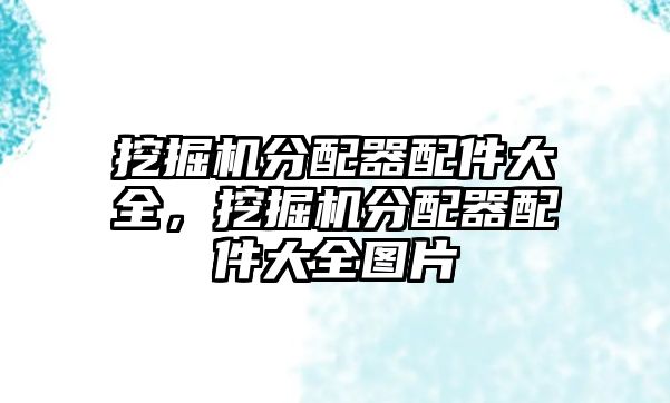 挖掘機(jī)分配器配件大全，挖掘機(jī)分配器配件大全圖片