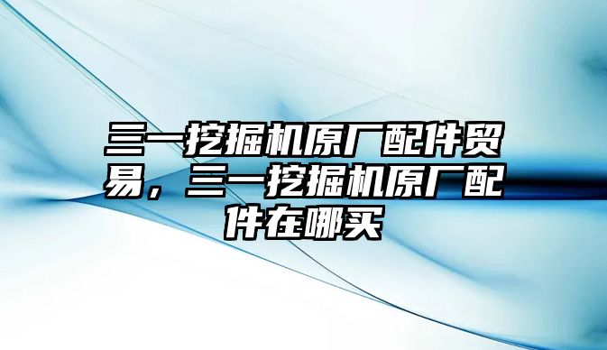 三一挖掘機(jī)原廠配件貿(mào)易，三一挖掘機(jī)原廠配件在哪買(mǎi)