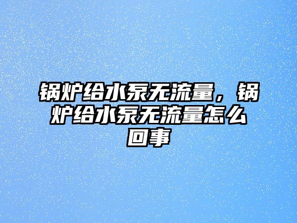 鍋爐給水泵無流量，鍋爐給水泵無流量怎么回事