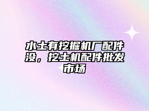 水土有挖掘機(jī)廠配件沒，挖土機(jī)配件批發(fā)市場