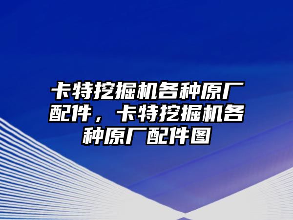 卡特挖掘機各種原廠配件，卡特挖掘機各種原廠配件圖