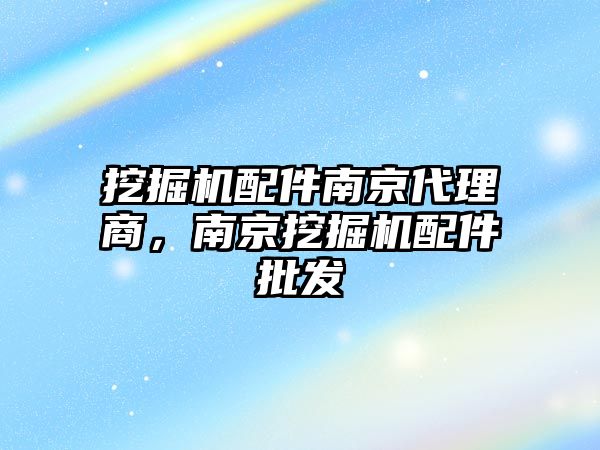 挖掘機配件南京代理商，南京挖掘機配件批發(fā)