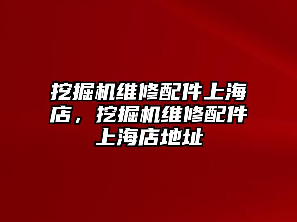 挖掘機(jī)維修配件上海店，挖掘機(jī)維修配件上海店地址